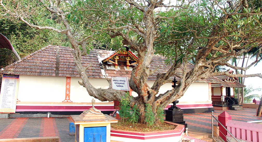 Pay tribute at the sacred Urupunyakavu Temple which is a famous religious place in Kerala.