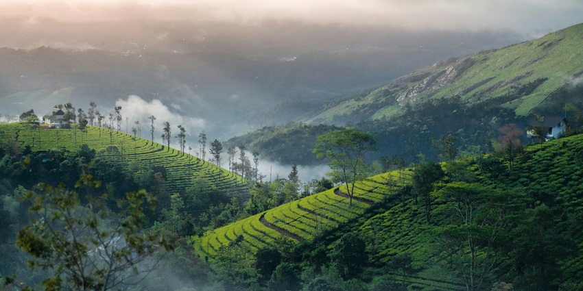 A mesmerising aerial view of Vagamon, one of the idyllic hill stations near Palakkad.