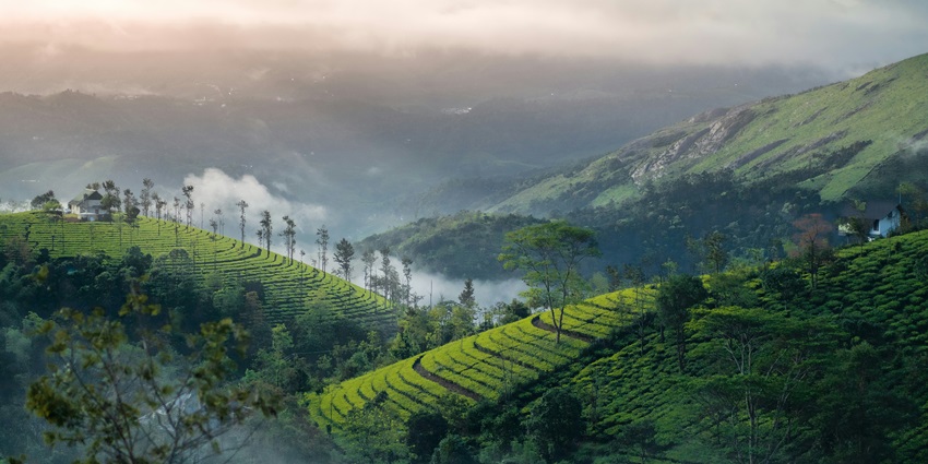 Vagamon is one of the best places for every traveller in Kerala for a great time.