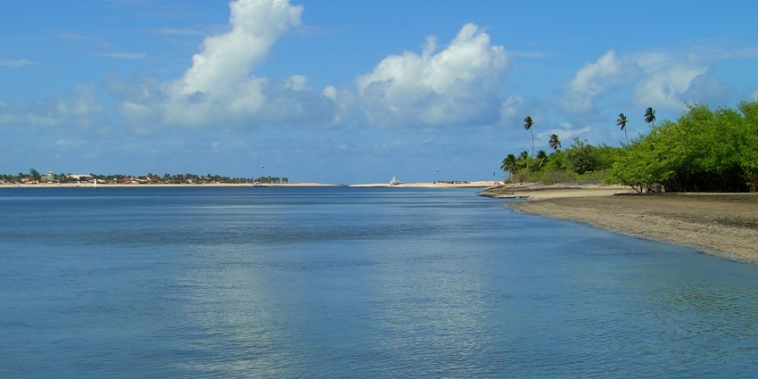 A view of peaceful Valiyakunnu Island dotted with coconut trees in Kerala's scenic backwaters.