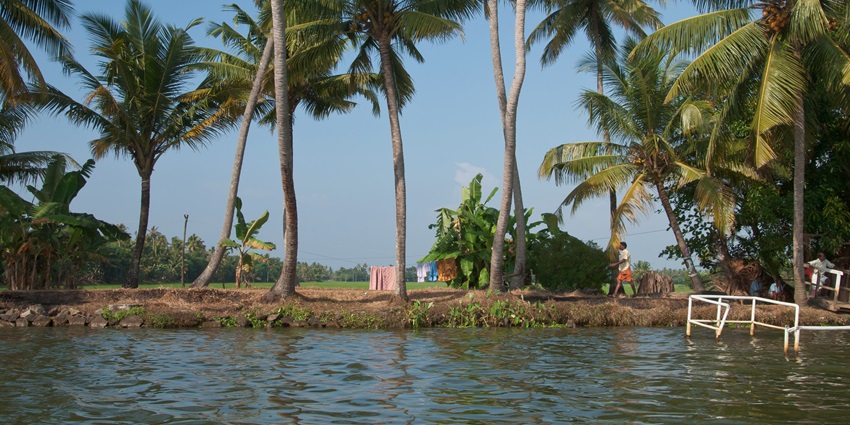 With perfect natural landscape , these backwaters are a go-to-go option for tranquillity.