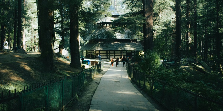 Explore Van Vihar National Park, one of the places to visit in Manali in May this year.