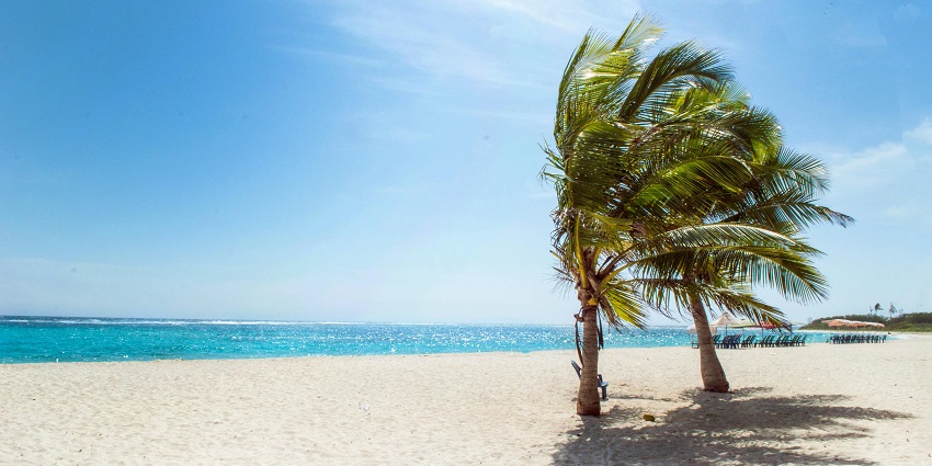 A glimpse of serene waters and pristine golden sands of the Vasishta Godavari Beach.