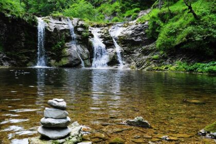 Explore Vazhvanthol Waterfall, a hidden gem of Kerala, amidst lush greenery in Kerala.