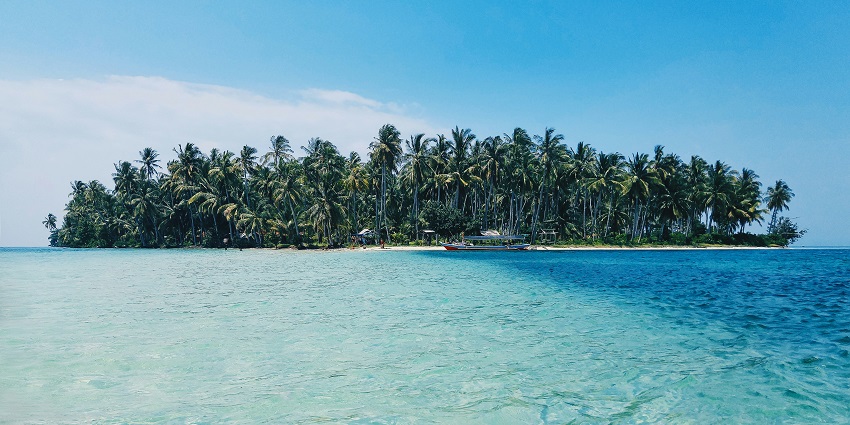 A mesmerising view of several coconut trees lined on the side of a body of water.