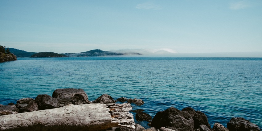 Tranquil Veli Island with backwaters and lush greenery near Trivandrum, ideal for picnics.