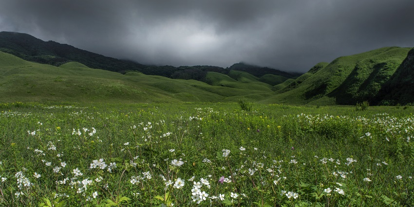 Clouds looming over the lush meadows of the valley, a serene retreat into the nature