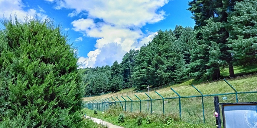 Rajparian wildlife sanctuary houses a diverse range of flora and fauna
