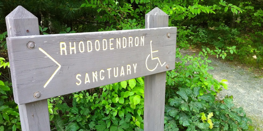 A famous wildlife sanctuary that falls in the Versay trek route