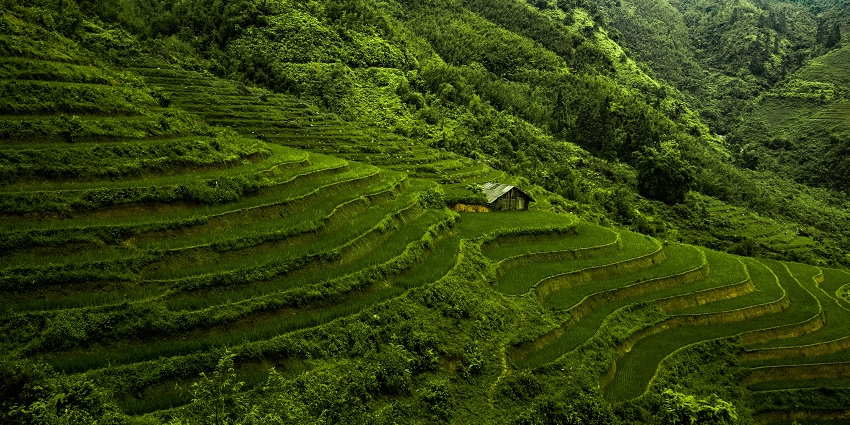 Vietnam is one of the top ten places to visit in monsoon in the world with captivating views.