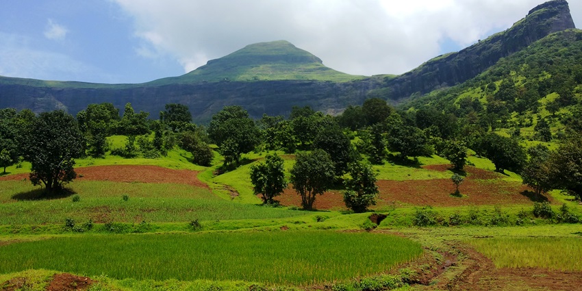Picturesque view of Brahmagiri hills lush green hills, field and clear blue sky.
