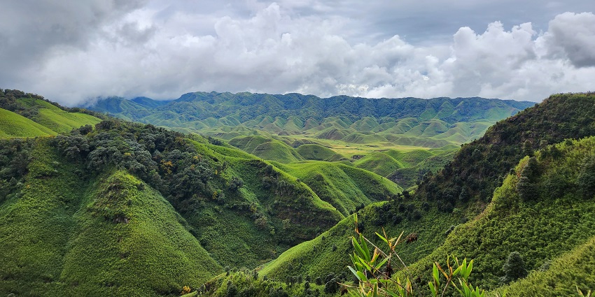 Panoramic view of Dzukou Valley with its lush green meadows and scenic mountain backdrop.