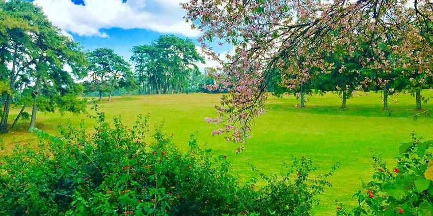 Shillong Golf Course with lush greens - one of the best places to visit in Shillong
