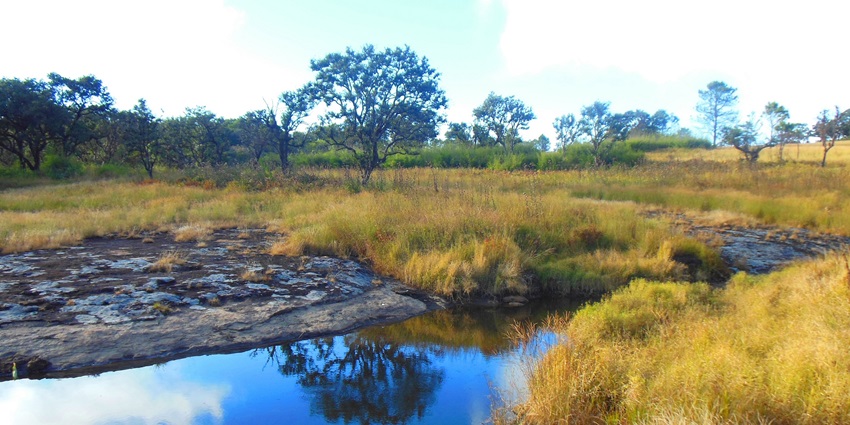 Scenic view of Phawngpui National Park showcasing lush greenery and mountainous terrain.
