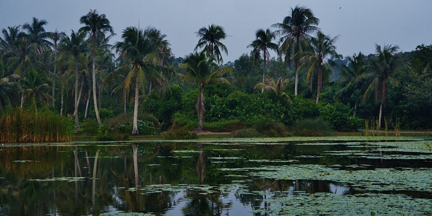 -Scenic view of Pulau Ubin surrounded by lush greenery - one of the best Islands near Singapore