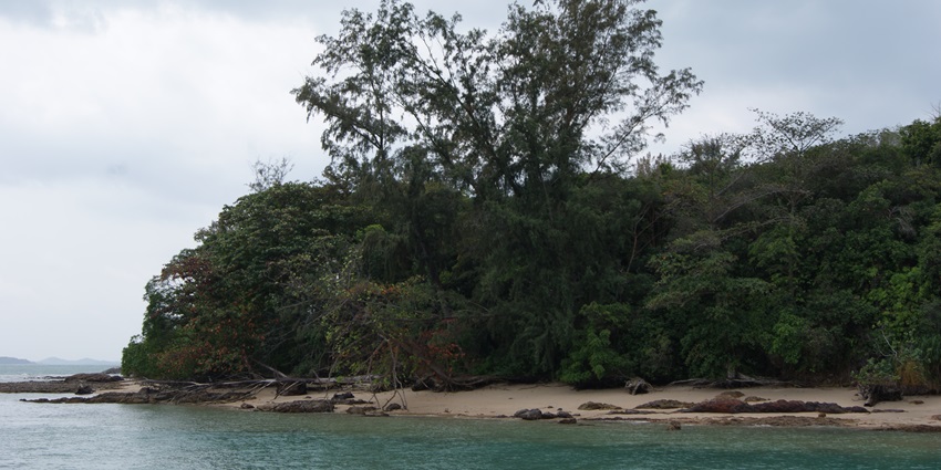 Seringat Island surrounded by lush greenery is one of the places to visit near Lazarus