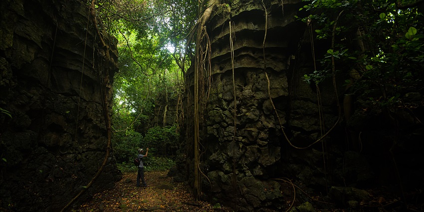 Siju Wildlife Sanctuary, surrounded by lush greenery and big rocks - places to visit in Meghalaya