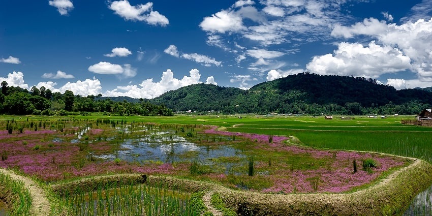 Image of Ziro valley of Arunchal in summer - one of the best things to do in Arunachal