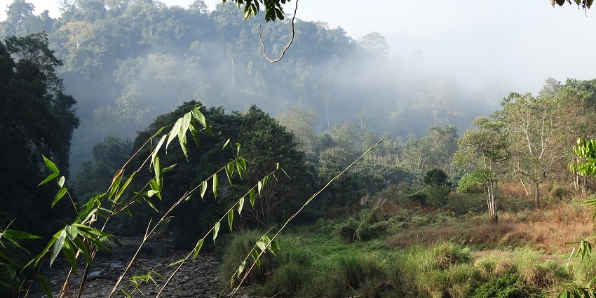 Pani Dihing Wildlife Sanctuary is located in the Sivasagar town of the northeastern state.