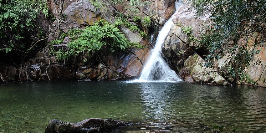 Enjoying the gushing and cool waters of Talakona offers a refreshing experience.