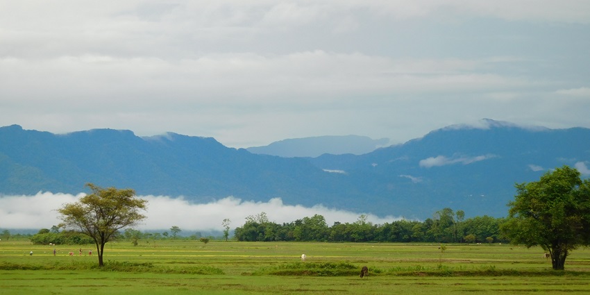A scene from an Assamese village in the Himalayan Foothills - places to visit in Dibrugarh
