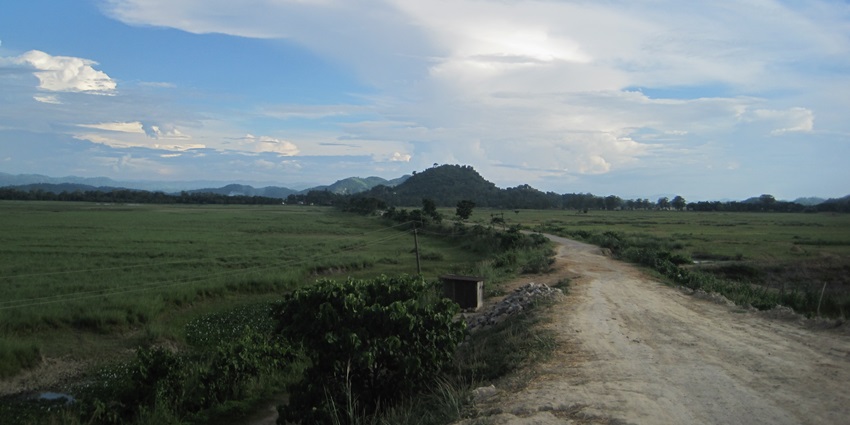 A road passing through a beautiful scenic village amidst fields somewhere in the Assam