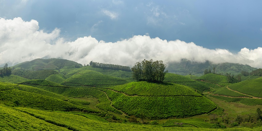 Explore the watchtowers and beautiful viewpoints that offer stunning views of the Western Ghats.