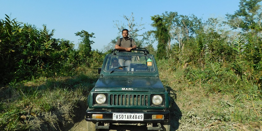 Visitors are allowed in open vehicles in Kaziranga National Park for safari and other activities.