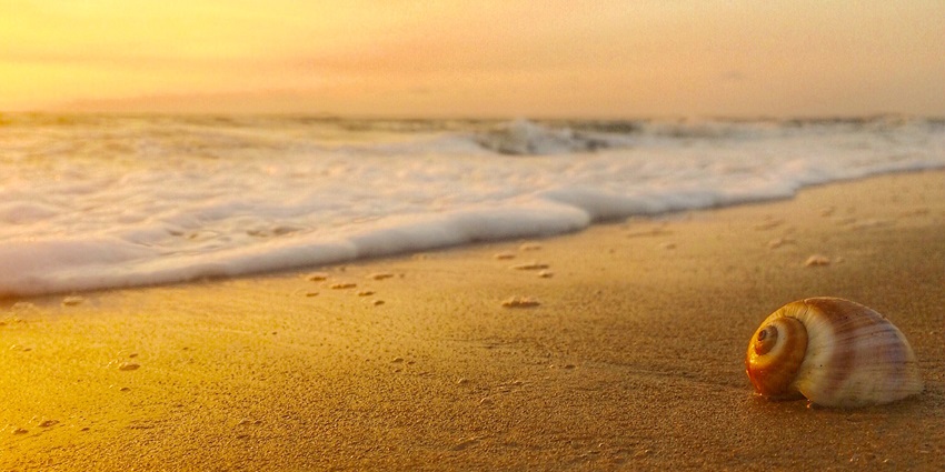 Enjoy the festive atmosphere at one of the places in Kochi on your trip to Kerala.
