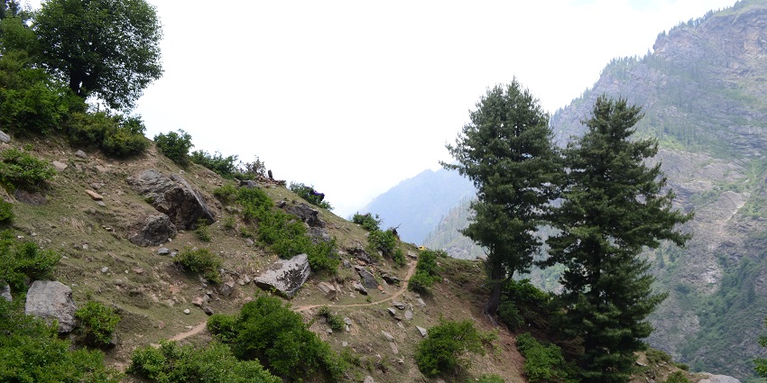 One of the underrated places to visit in Tosh, Waichin Valley has snowy peaks and green meadows,