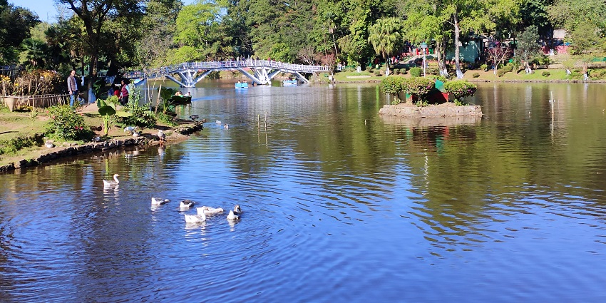 Ward's Lake in Shillong, featuring a charming bridge, well-manicured gardens, and serene waters