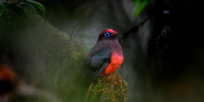 This wildlife sanctuary is haven for all animal lovers to have a relaxing picnic while exploring forests