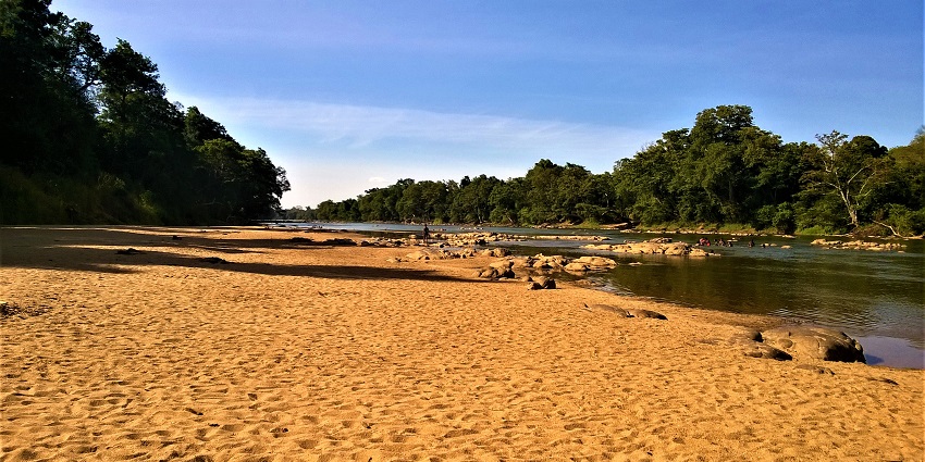 Mahaweli River flows through the national park offering life to plants & animal species.