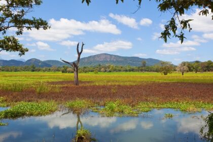 An image of Wasgamuwa National Park Sri Lanka - a hidden gem for wildlife enthusiasts.