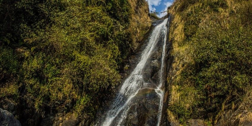 Sparkling water cascading down into the stream through lush vegetation