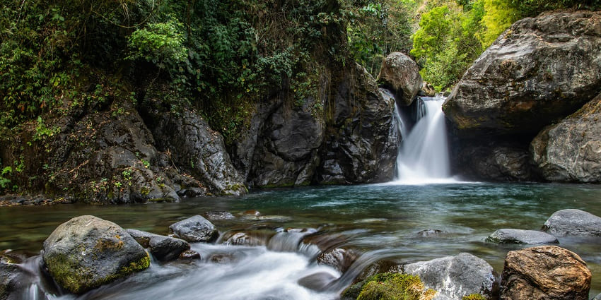 A tranquil waterfall tumbles down rocks in a vibrant forest, surrounded by rich greenery.