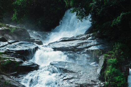 A breathtaking view of a small waterfall surrounded by lush greenery during the daytime.