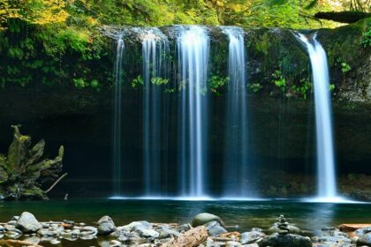 Explore the mesmerising views at the famous Posadi Gumpe Waterfalls in Bayar, Kerala