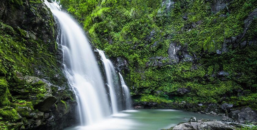 A mesmerising view of a waterfall surrounded by lush greenery during the daytime.