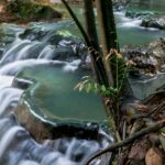 A scenic view of the stream flowing through the rocks and surrounded by greenery.