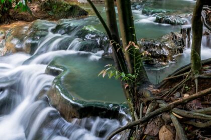 A scenic view of the stream flowing through the rocks and surrounded by greenery.