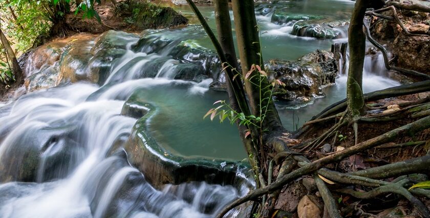 A scenic view of the stream flowing through the rocks and surrounded by greenery.