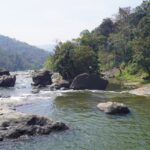 Witness the mesmerising views and calming ambience at the Sreenarayanapuram Waterfalls