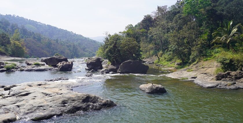 Witness the mesmerising views and calming ambience at the Sreenarayanapuram Waterfalls