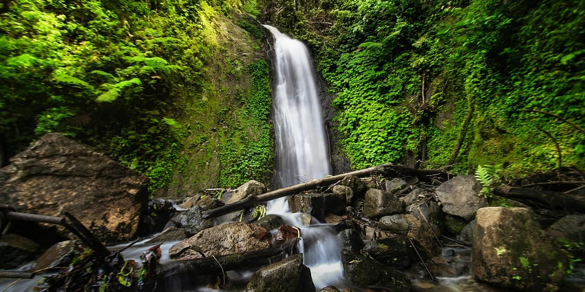 Beautiful long-exposure image of waterfalls flowing gracefully through a vibrant forest.