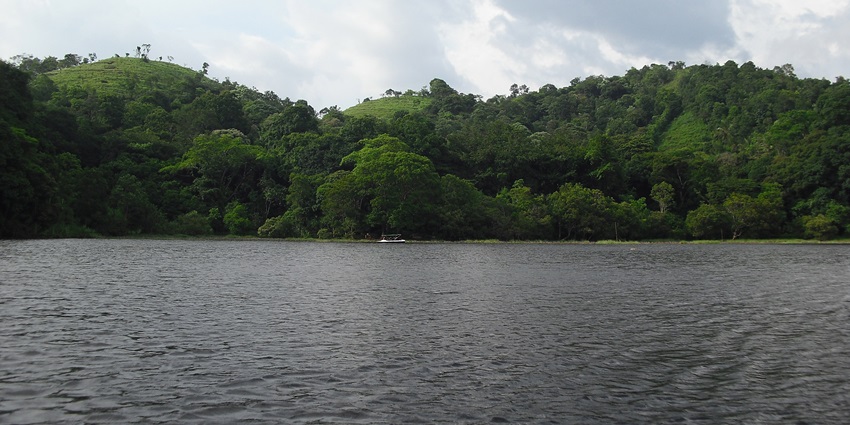 Tranquil Wayanad Pookode Lake, with calm waters reflecting the surrounding lush greenery.