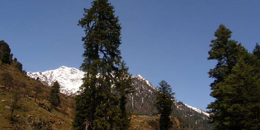 A stunning view of a valley with snow-covered mountains in the background during the day.