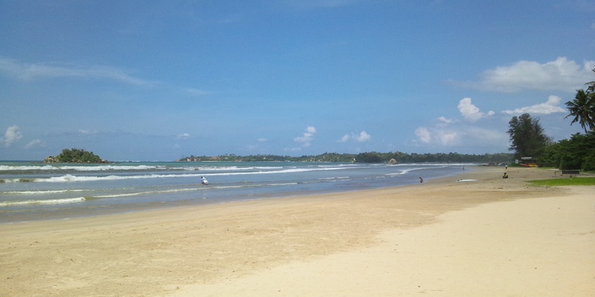 A glimpse of shimmering waters and golden sands dotted with palm trees in Weligama.