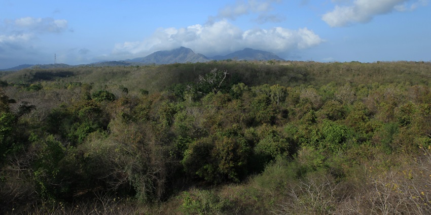 A distant view of lush green mountains at one of the best wildlife sanctuaries in Bali