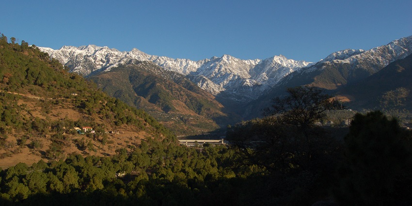 There are many stay options near Sherabling Monastery that one can choose as per their budget.